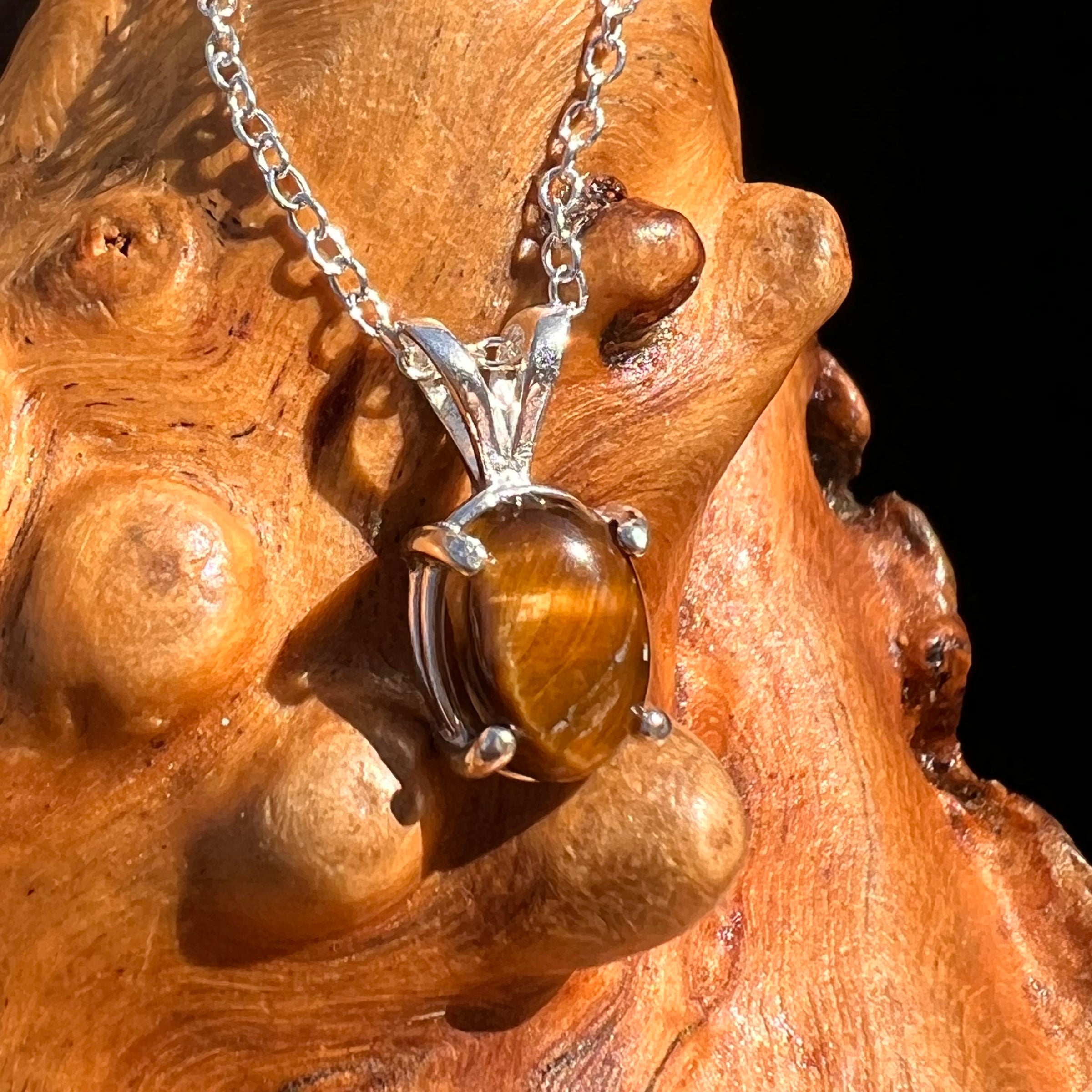 Tiger Eye Necklace Sterling Silver #7764-Moldavite Life