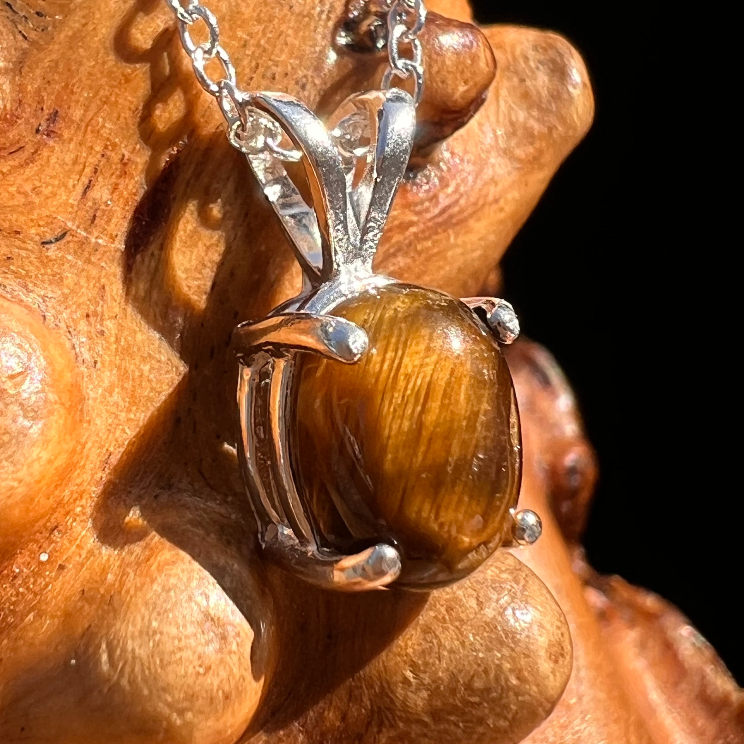 Tiger Eye Necklace Sterling Silver #7765-Moldavite Life