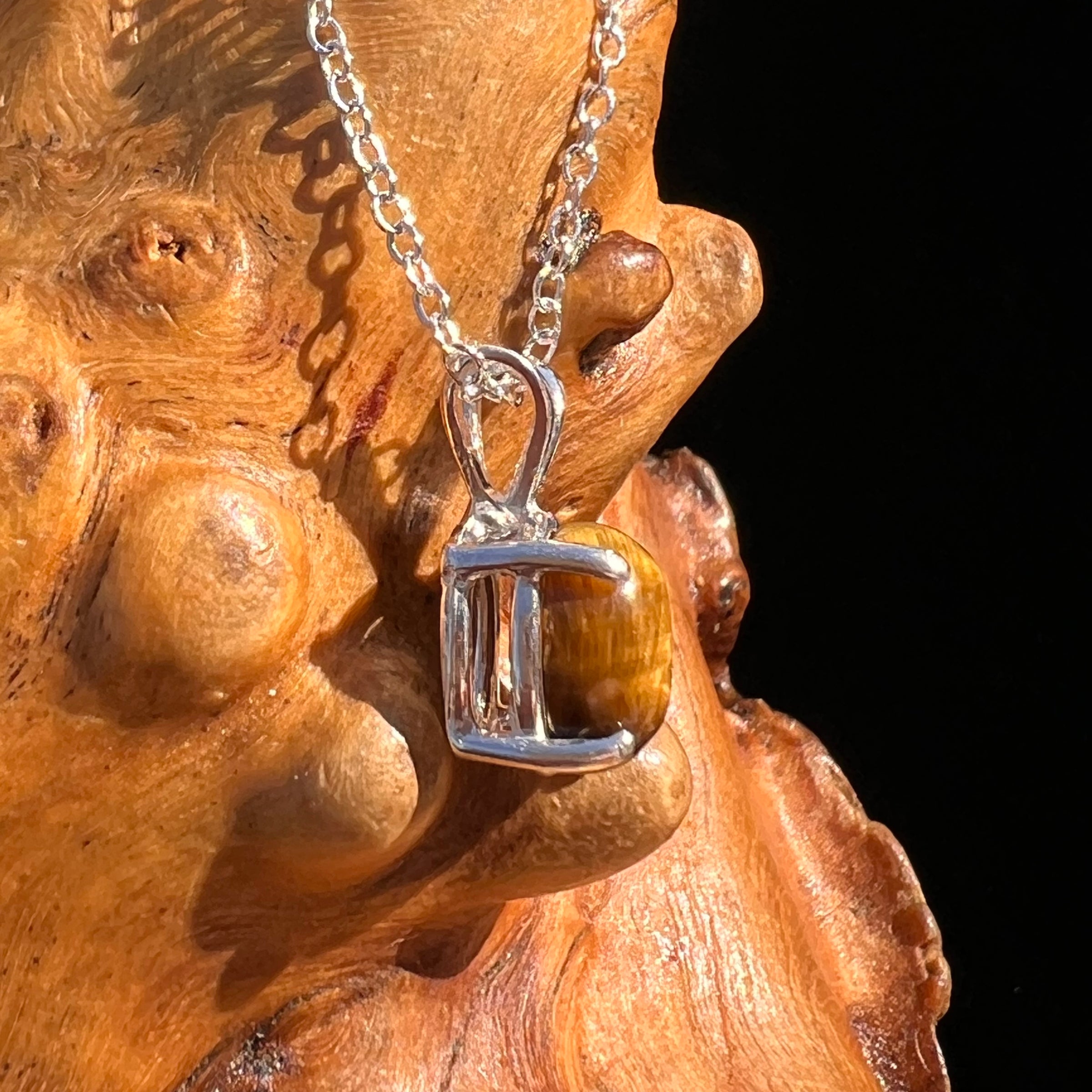 Tiger Eye Necklace Sterling Silver #7765-Moldavite Life