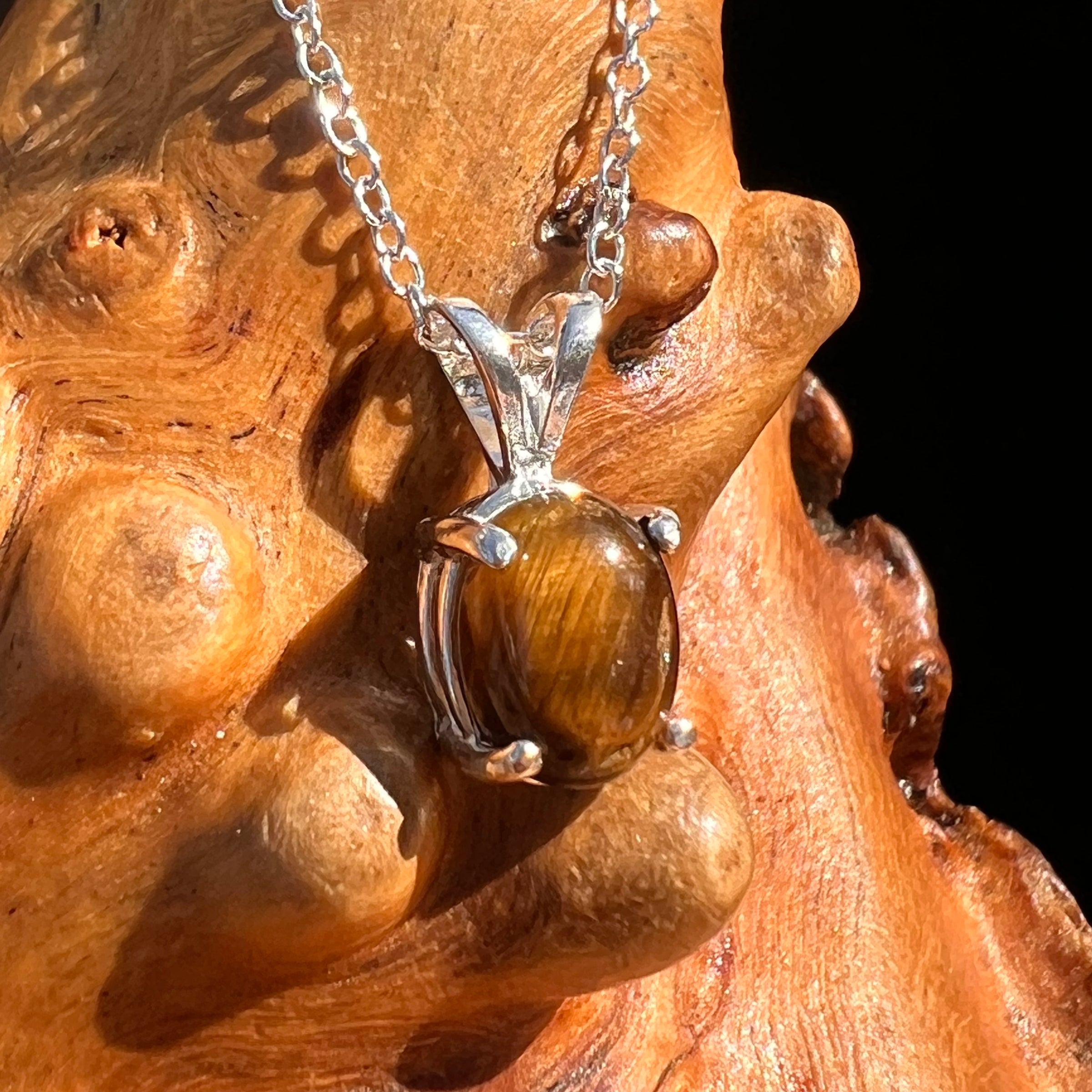 Tiger Eye Necklace Sterling Silver #7765-Moldavite Life