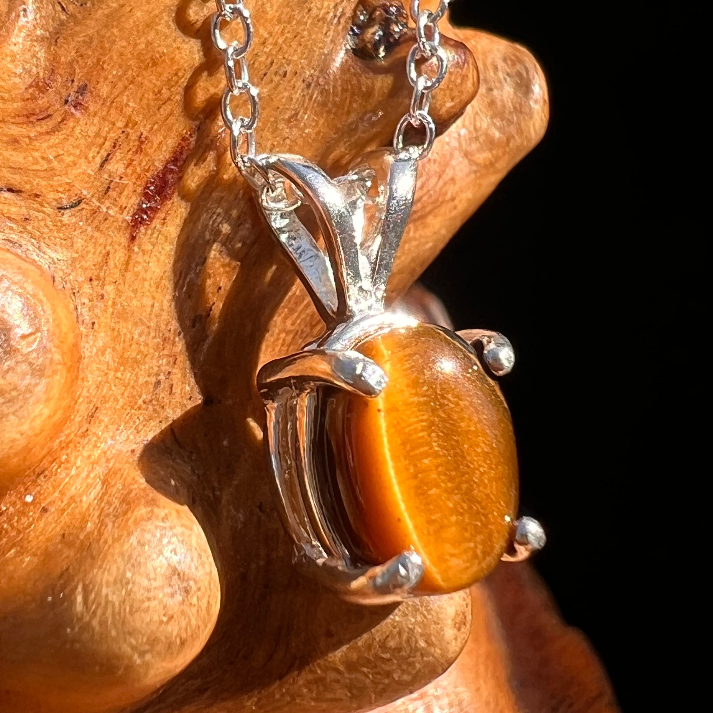 Tiger Eye Necklace Sterling Silver #7766-Moldavite Life