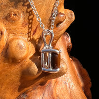 Tiger Eye Necklace Sterling Silver #7766-Moldavite Life