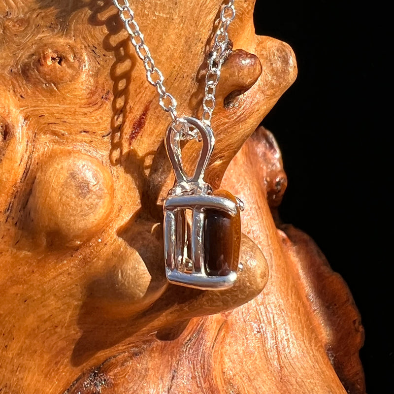 Tiger Eye Necklace Sterling Silver #7766-Moldavite Life