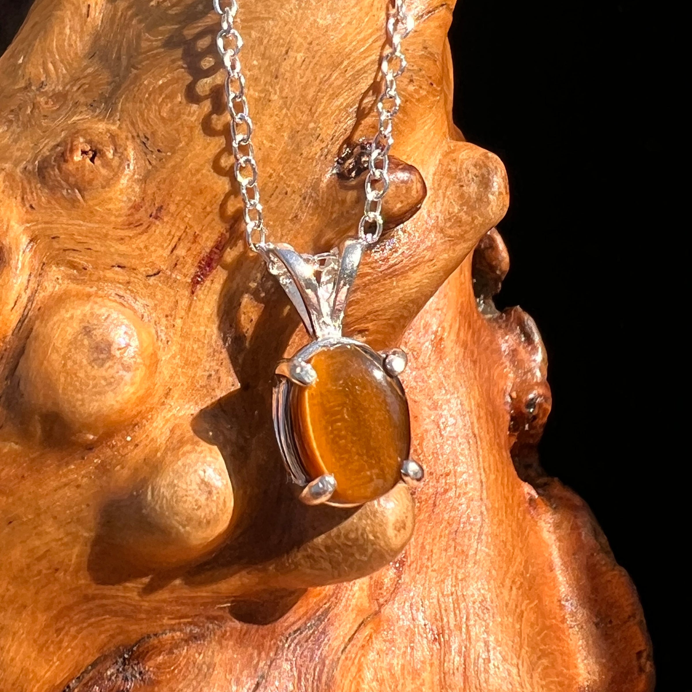 Tiger Eye Necklace Sterling Silver #7766-Moldavite Life
