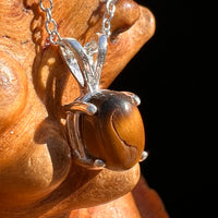 Tiger Eye Necklace Sterling Silver #7767-Moldavite Life