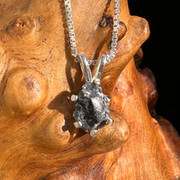 Tiglit Meteorite "Messenger of the Gods" Necklace Sterling #6782-Moldavite Life