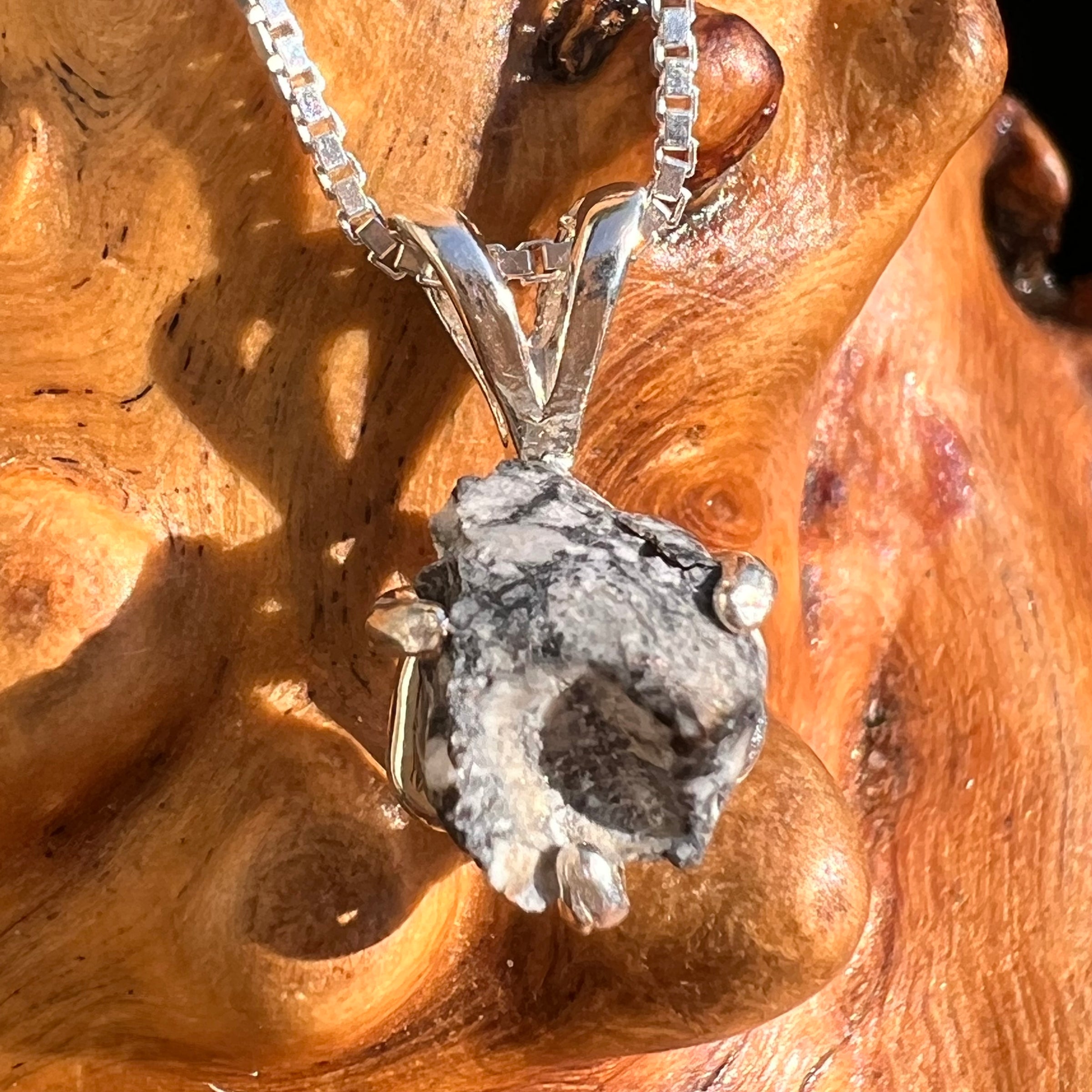 Tiglit Meteorite "Messenger of the Gods" Necklace Sterling #6783-Moldavite Life