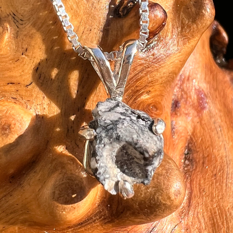 Tiglit Meteorite "Messenger of the Gods" Necklace Sterling #6783-Moldavite Life