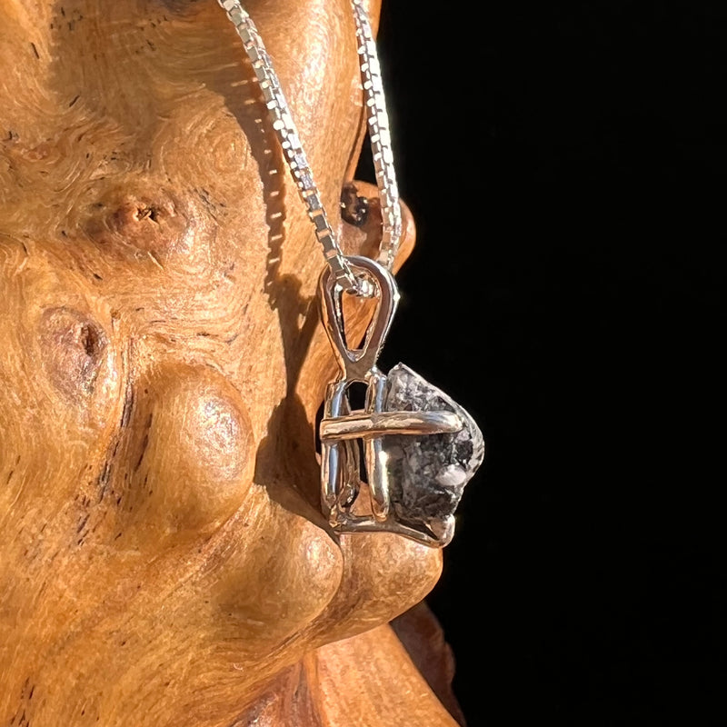 Tiglit Meteorite "Messenger of the Gods" Necklace Sterling #6783-Moldavite Life