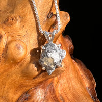 Tiglit Meteorite "Messenger of the Gods" Necklace Sterling #6785-Moldavite Life