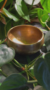 Tibetan Singing Bowl with Moldavite #69