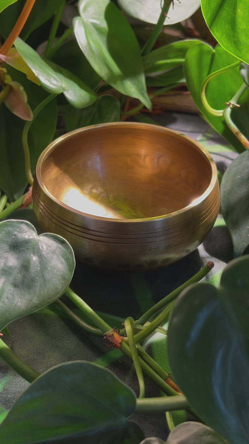 Tibetan Singing Bowl with Moldavite #69