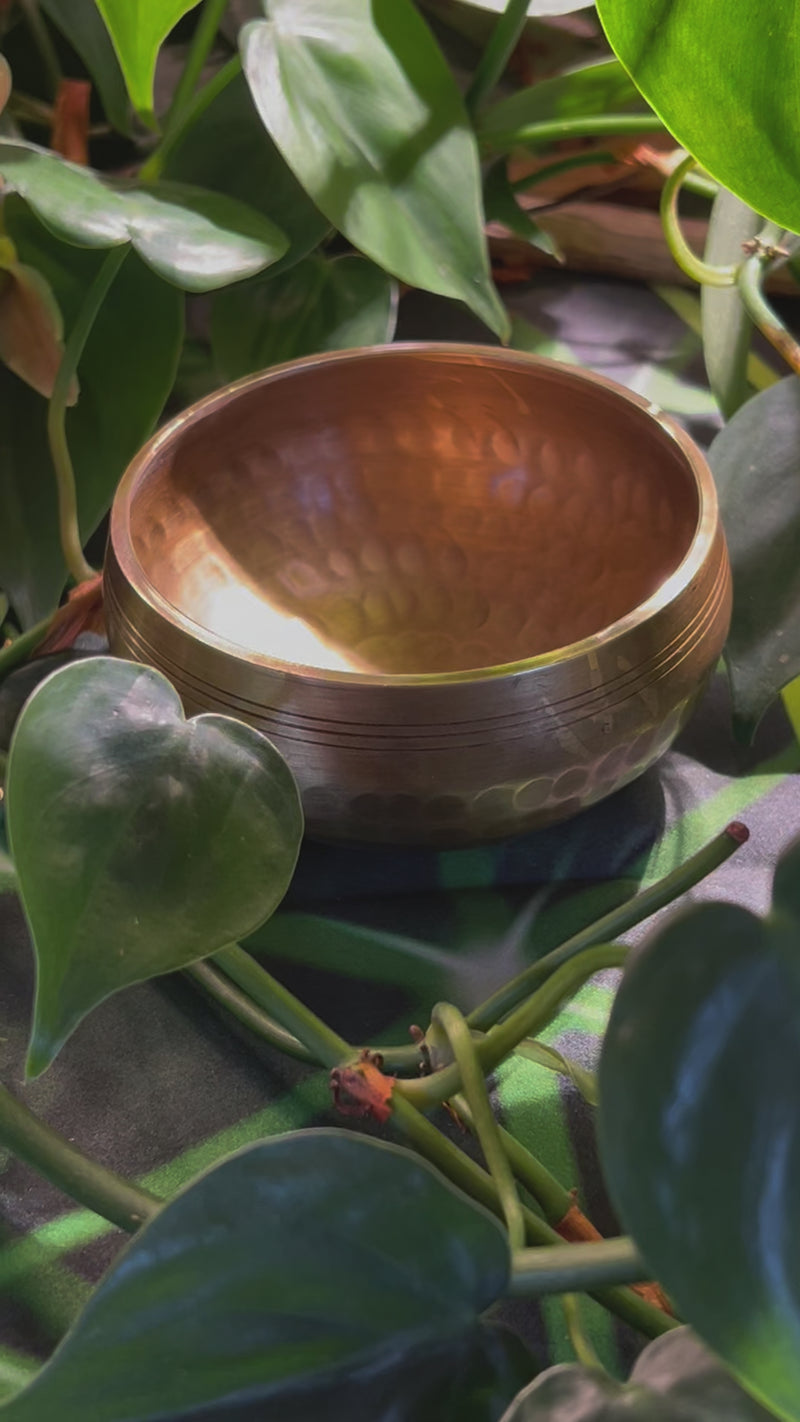 Tibetan Singing Bowl with Phenakite #54