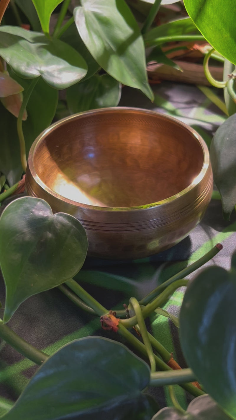 Tibetan Singing Bowl with Phenakite #59