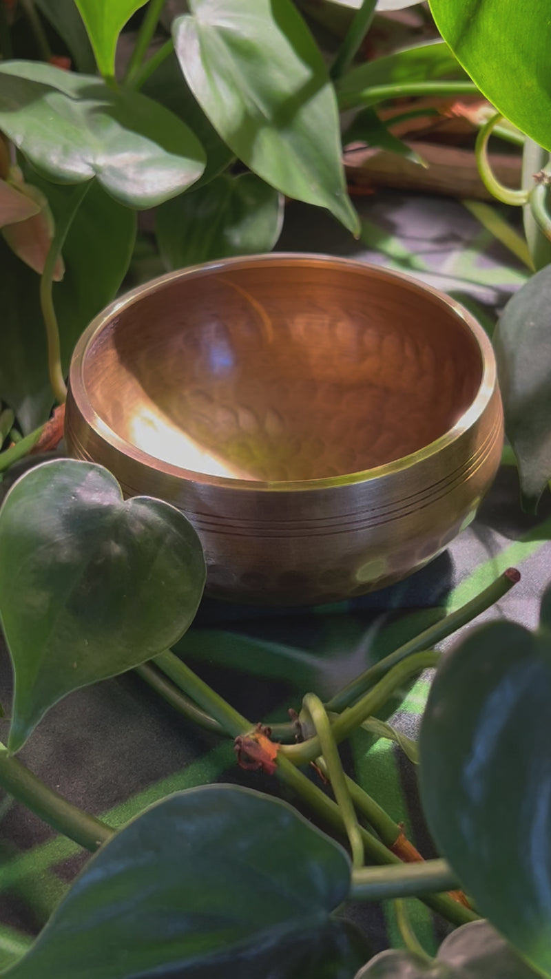 Tibetan Singing Bowl with Phenakite #58