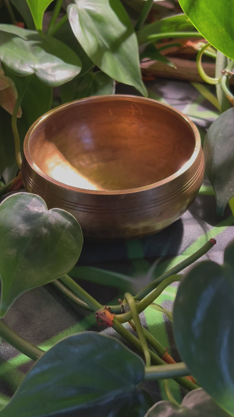 Tibetan Singing Bowl with Phenakite #57