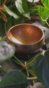 Tibetan Singing Bowl with Moldavite #72