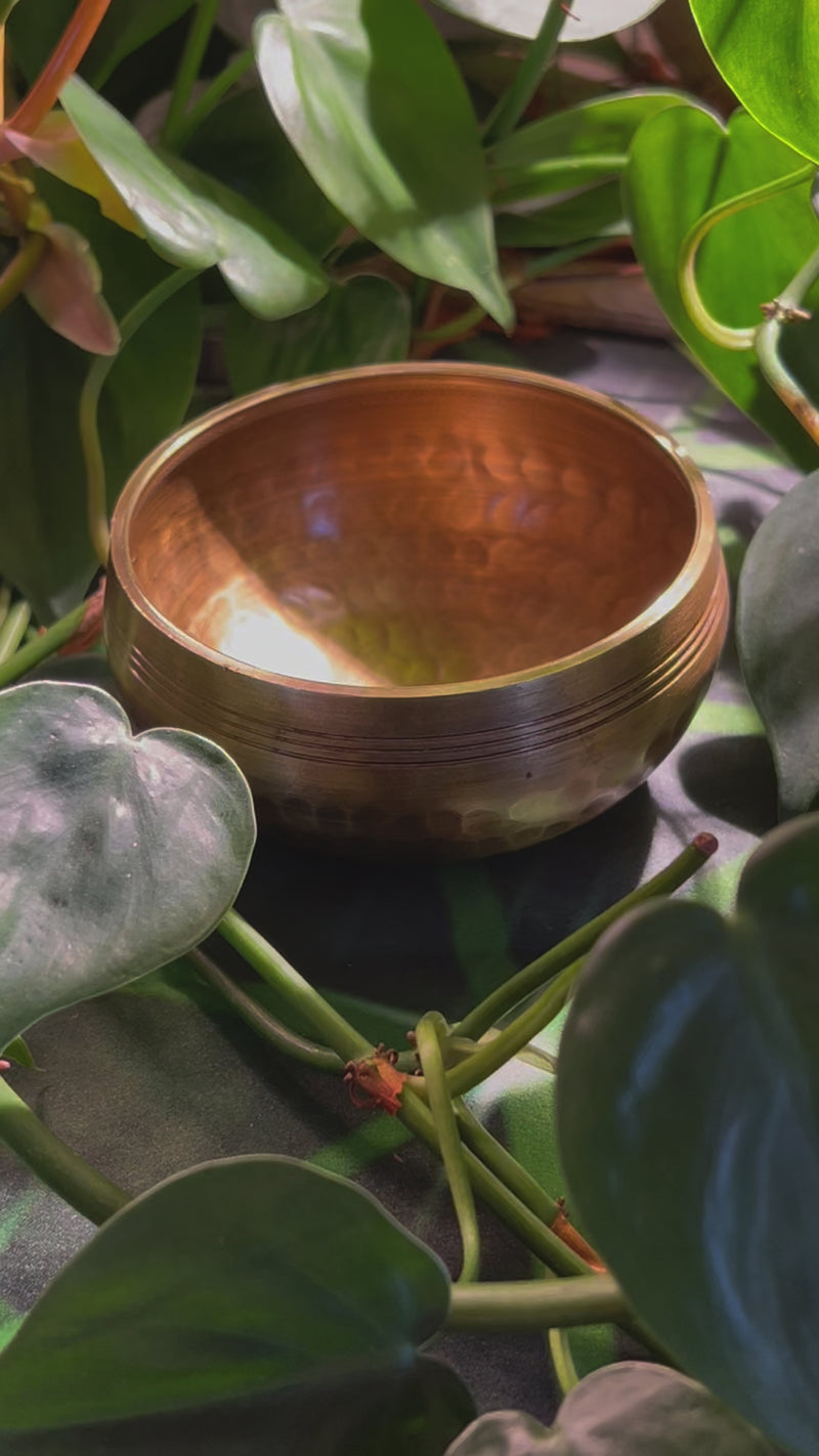 Tibetan Singing Bowl with Moldavite #71