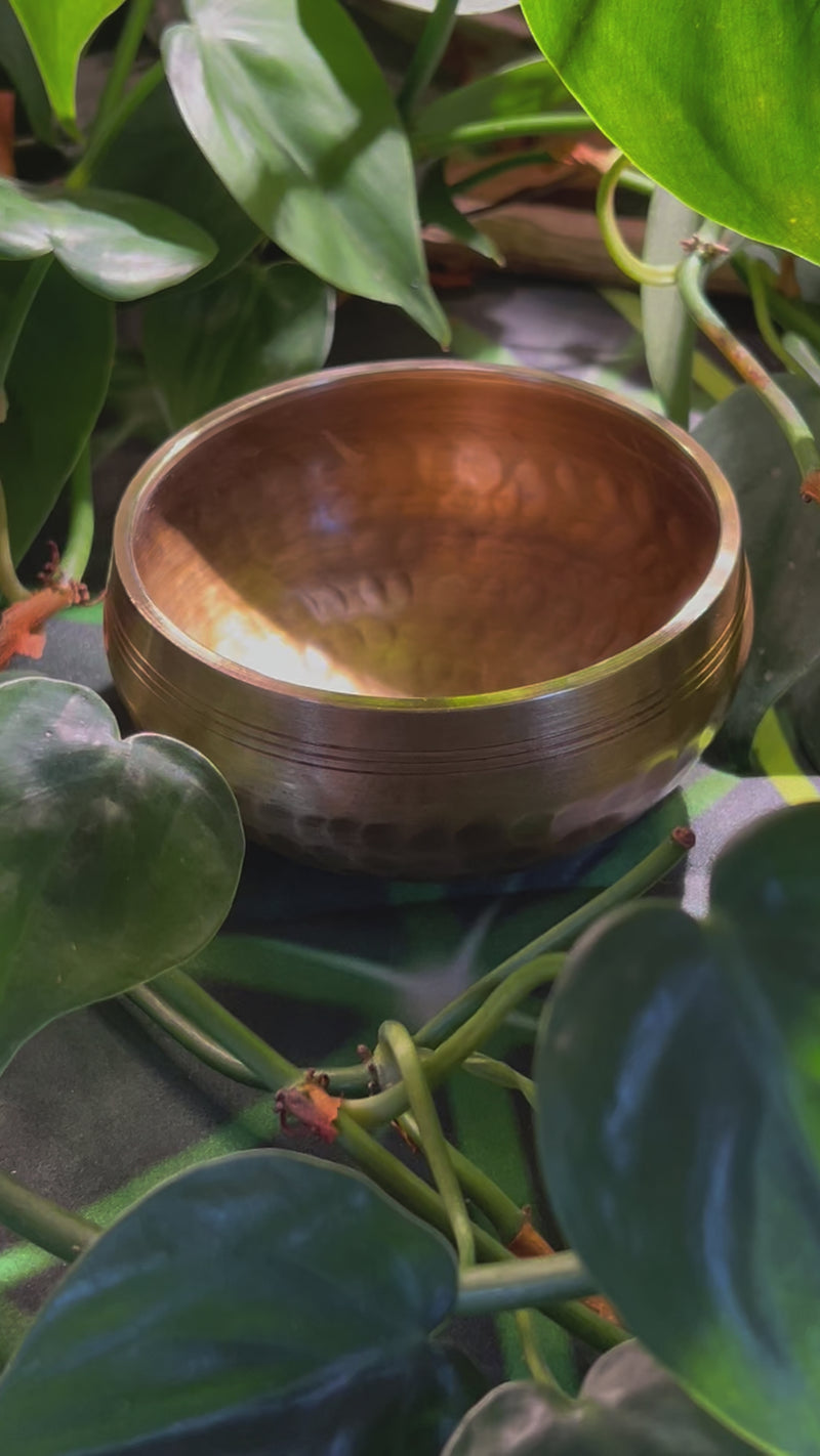 Tibetan Singing Bowl with Phenakite #53