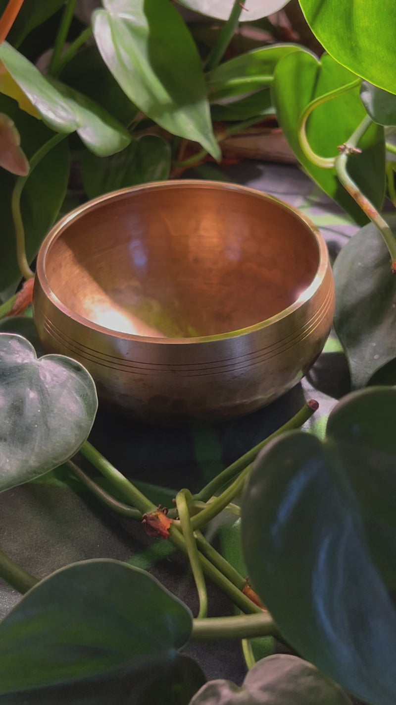 Tibetan Singing Bowl with Moldavite #70