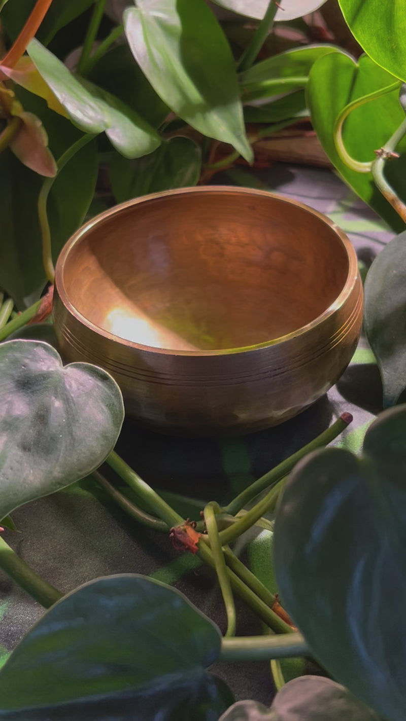 Tibetan Singing Bowl with Moldavite #75