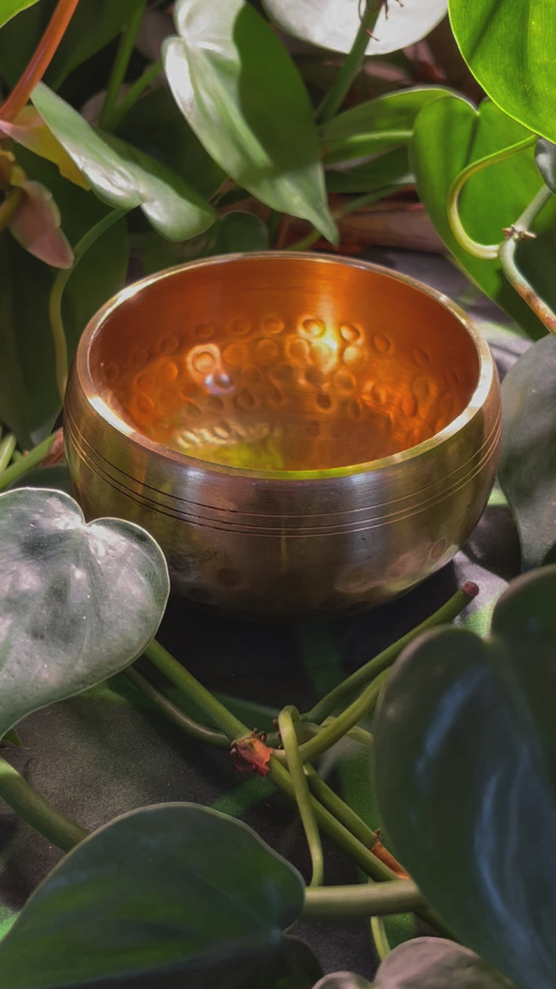 Tibetan Singing Bowl with Moldavite #68