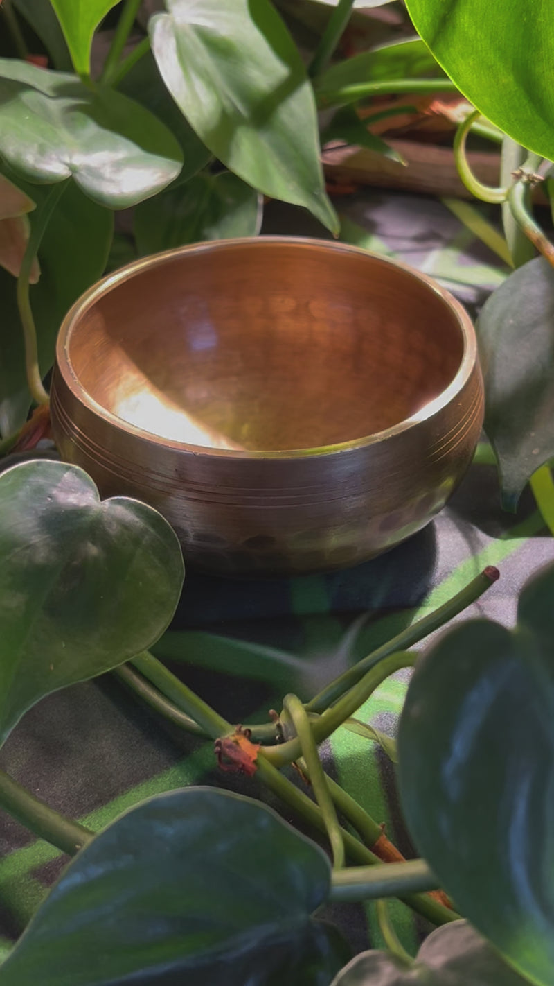 Tibetan Singing Bowl with Phenakite #61