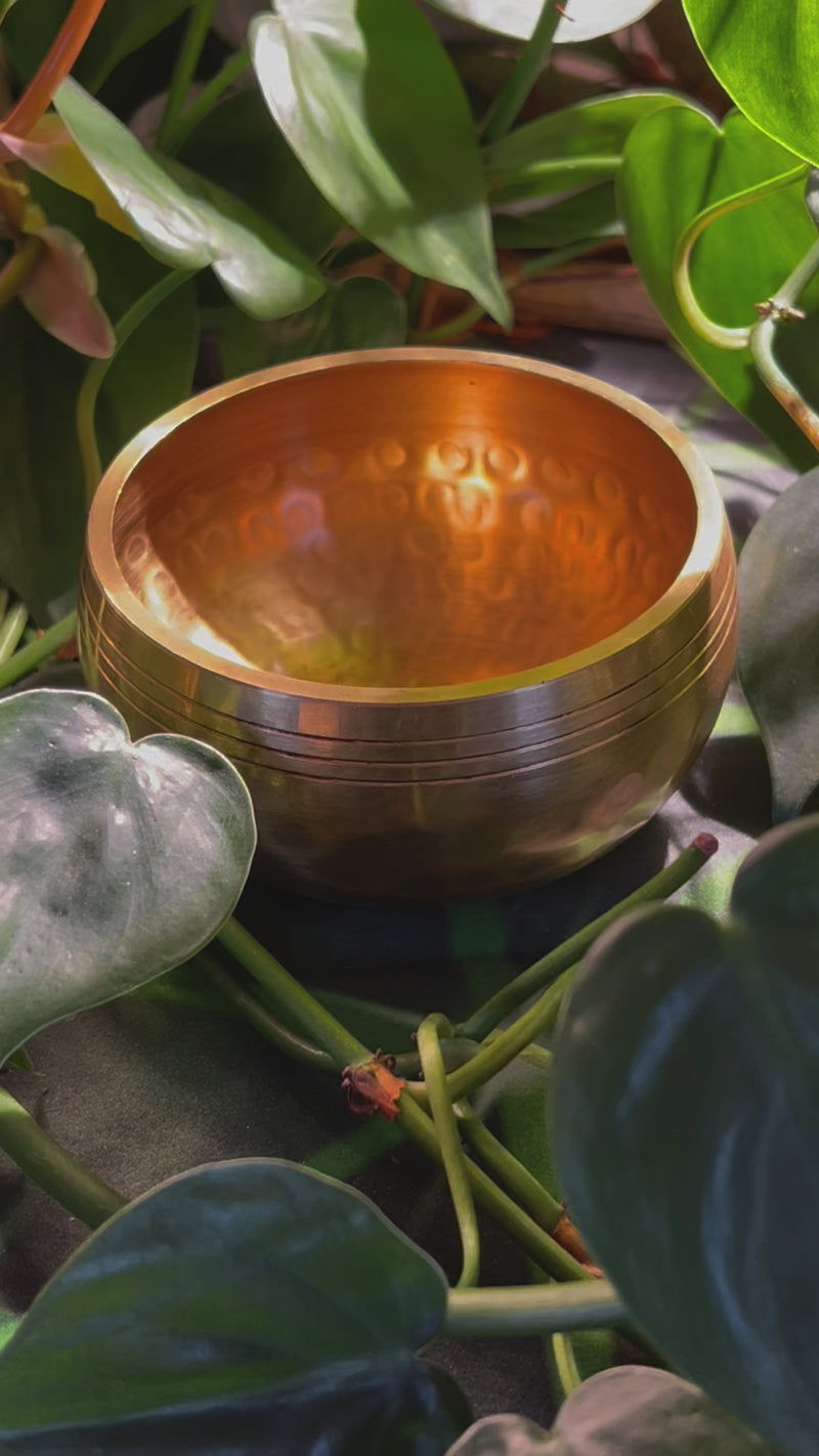 Tibetan Singing Bowl w/ Moldavite & Libyan Desert Glass #13