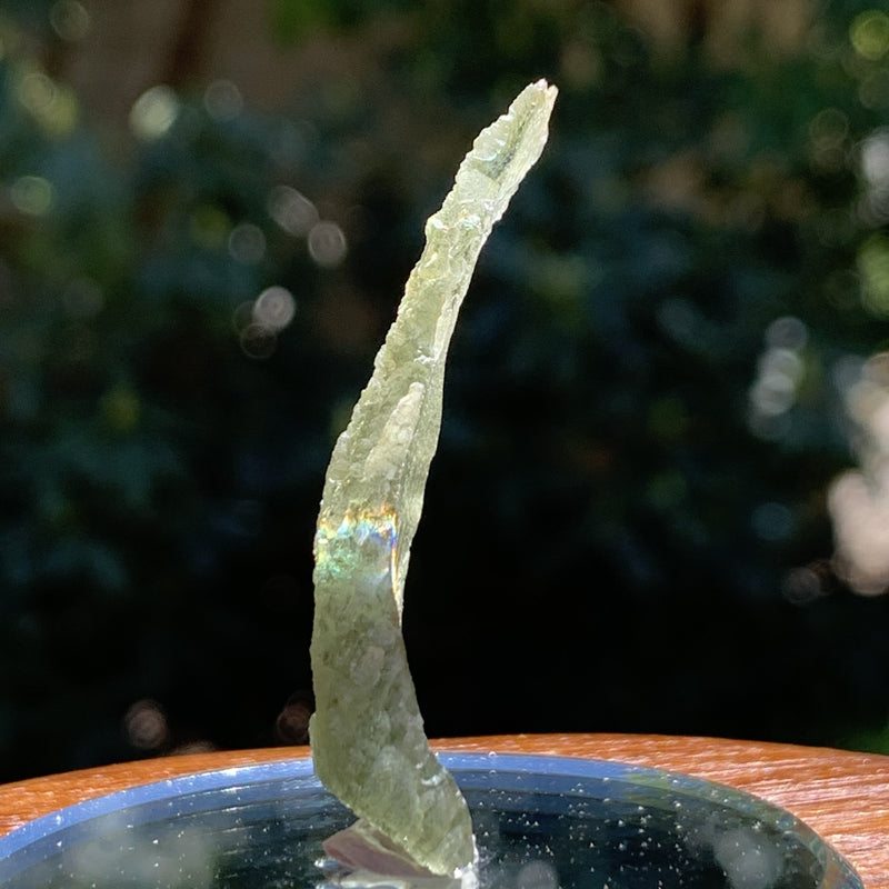 Angel Chime Moldavite Genuine Certified 2.7 Grams ACM43-Moldavite Life