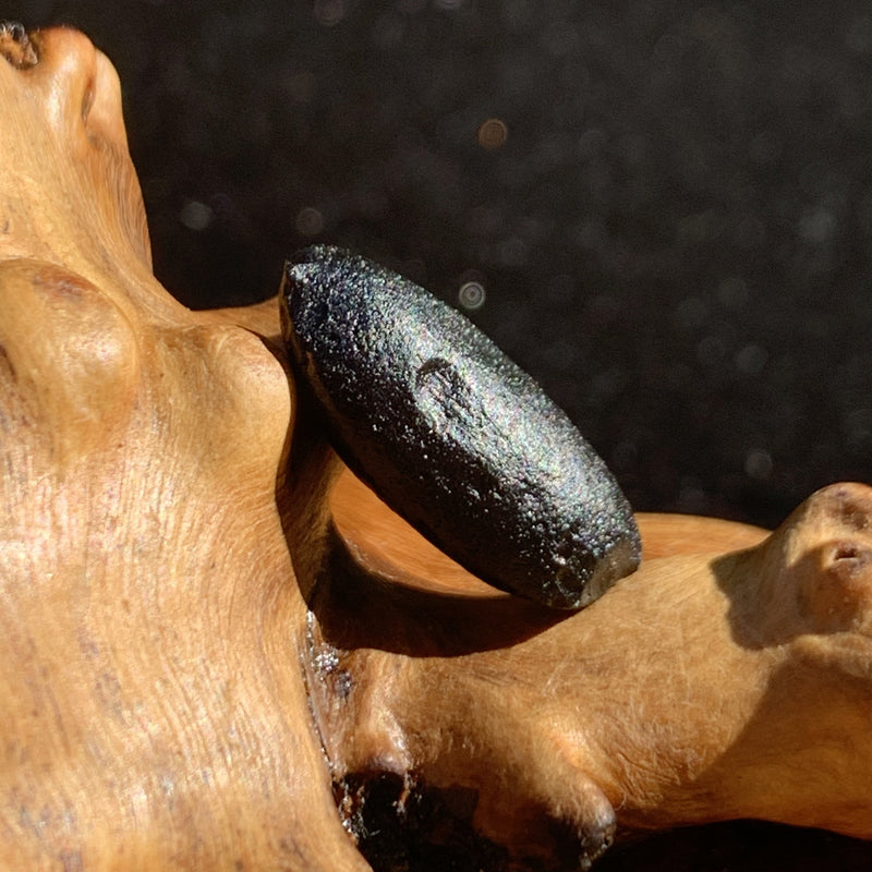 Australite Tektite 1.6 grams AU48-Moldavite Life