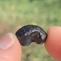 Australite Tektite 2.2 grams AU37-Moldavite Life