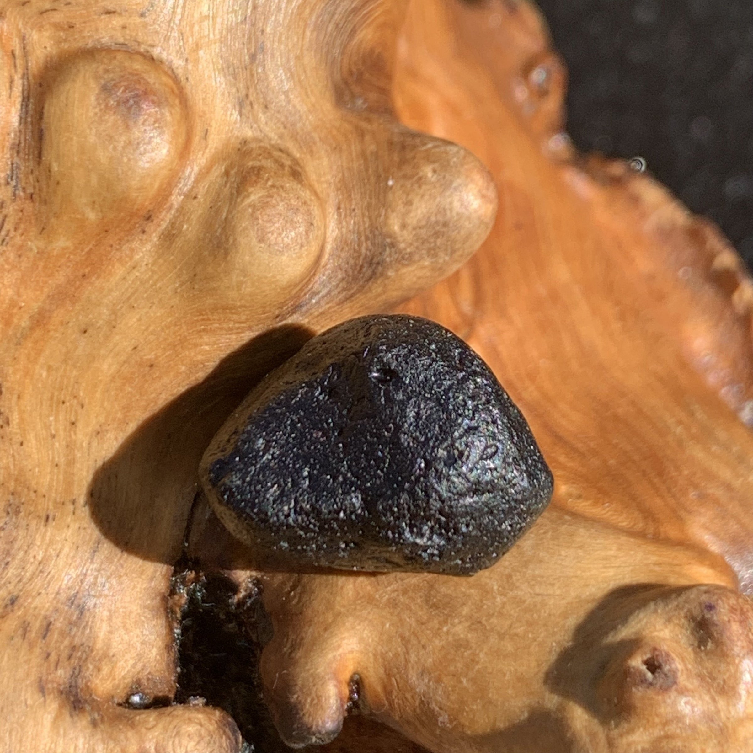 Australite Tektite 2.5 grams AU26-Moldavite Life