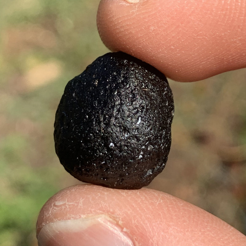 Australite Tektite 3.5 grams AU29-Moldavite Life