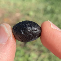 Australite Tektite 3.5 grams AU36-Moldavite Life