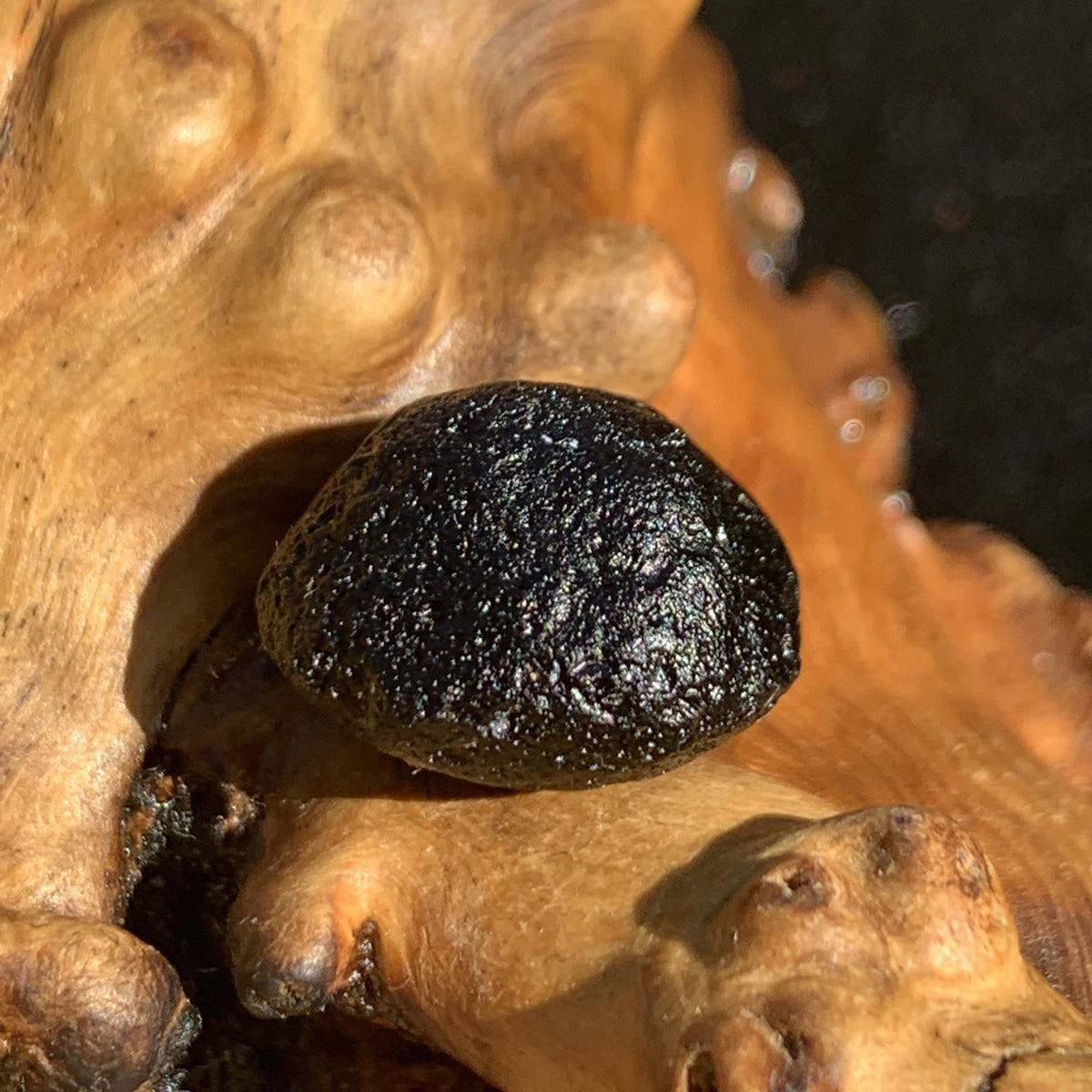 Australite Tektite 3.5 grams AU40-Moldavite Life