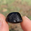 Australite Tektite 3.9 grams AU41-Moldavite Life