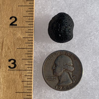 Australite Tektite 3.9 grams AU56-Moldavite Life