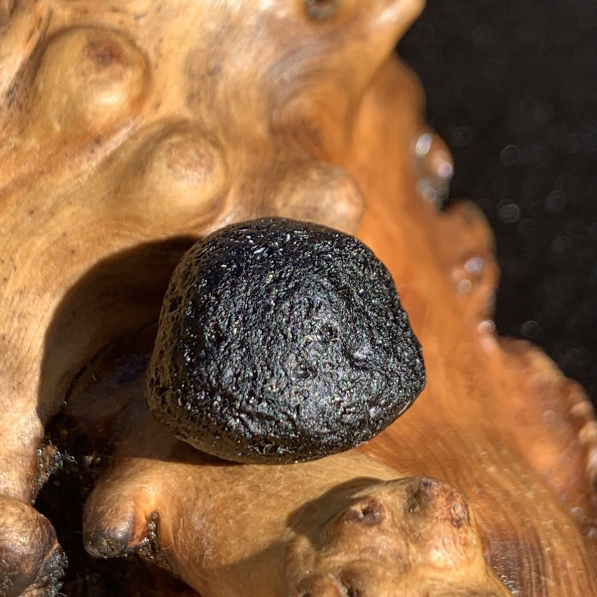 Australite Tektite 4.2 grams AU43-Moldavite Life
