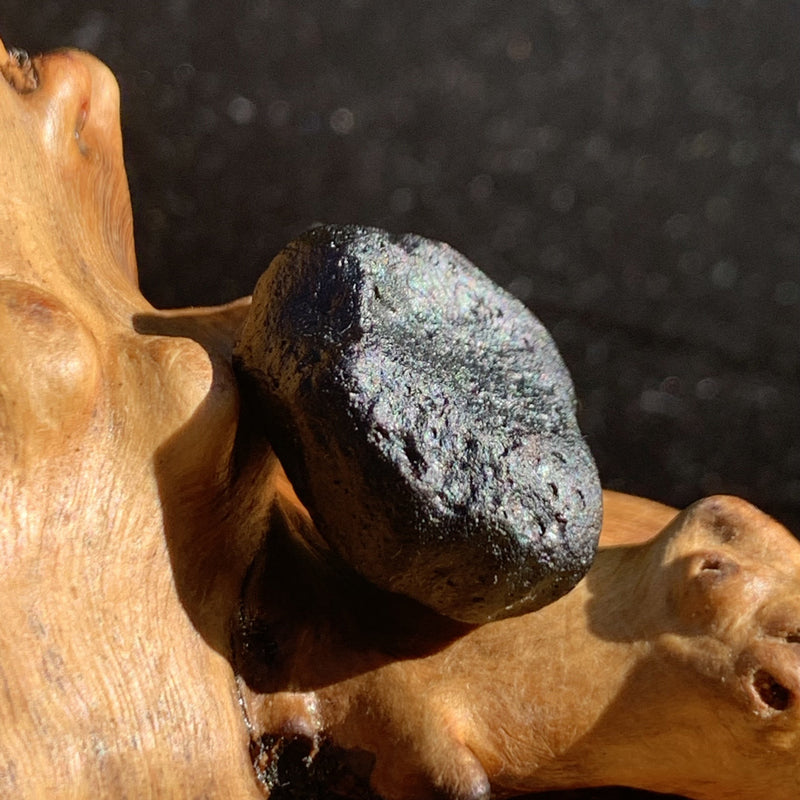 Australite Tektite 4.5 grams AU63-Moldavite Life