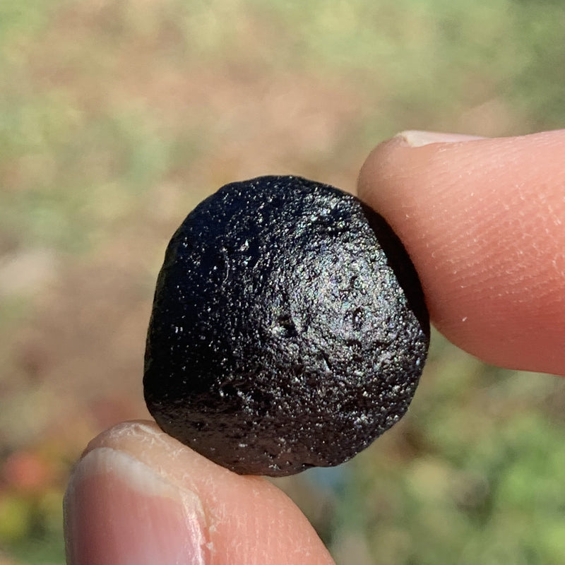 Australite Tektite 5 grams AU49-Moldavite Life