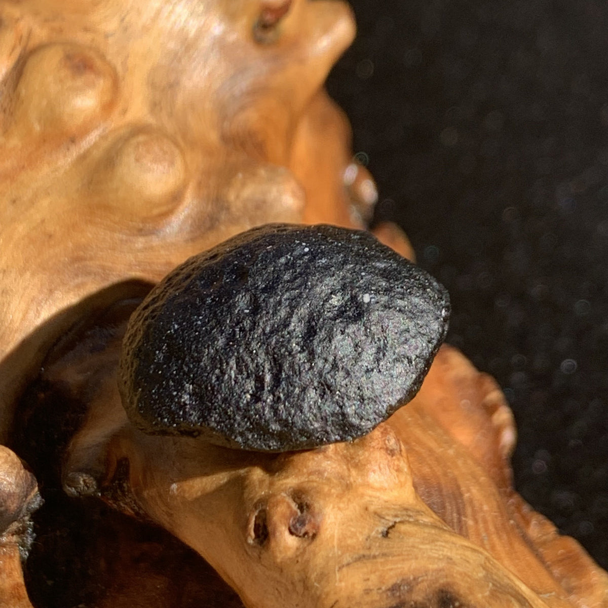 Australite Tektite 5.1 grams AU22-Moldavite Life