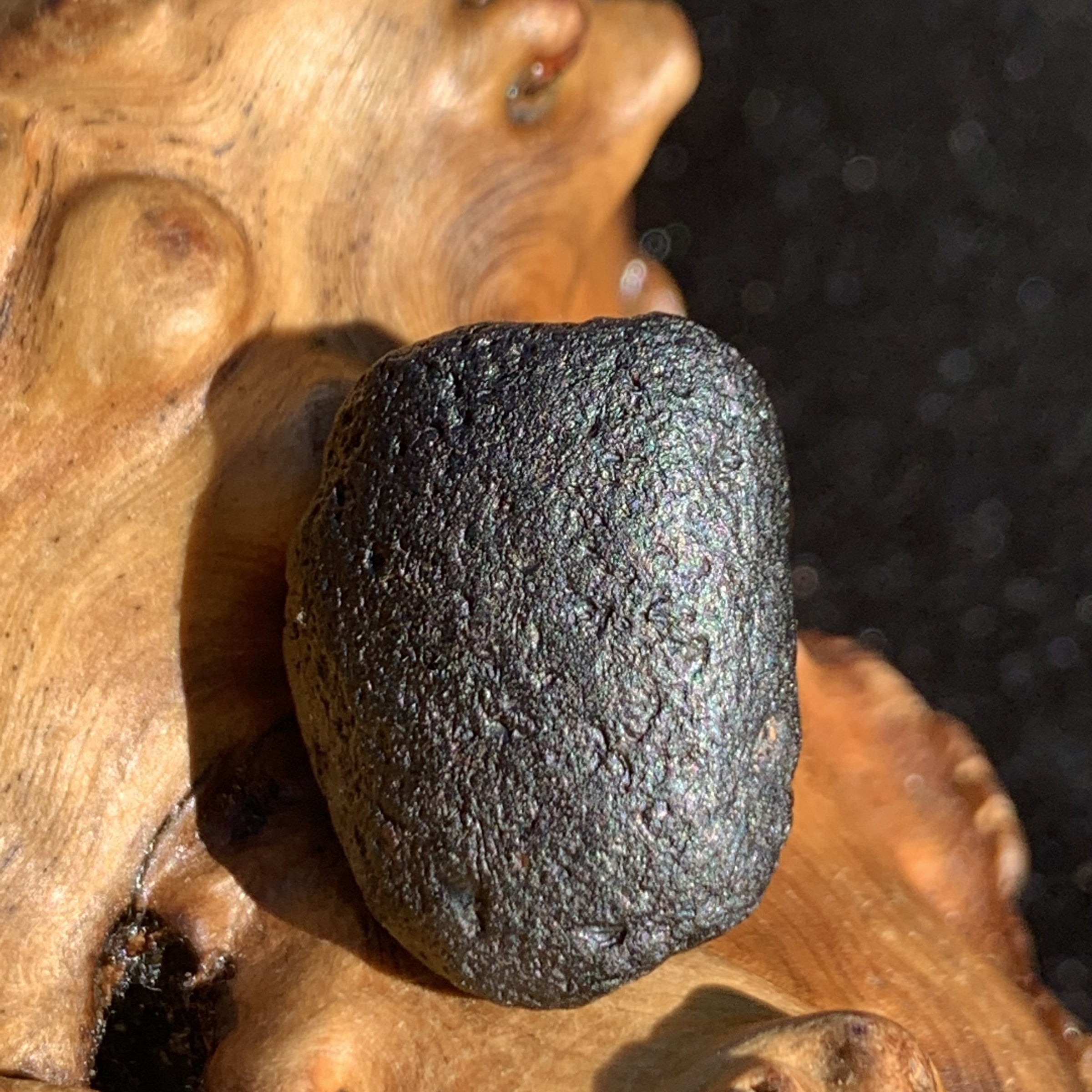 Australite Tektite 5.1 grams AU55-Moldavite Life