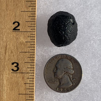 Australite Tektite 5.9 grams AU53-Moldavite Life