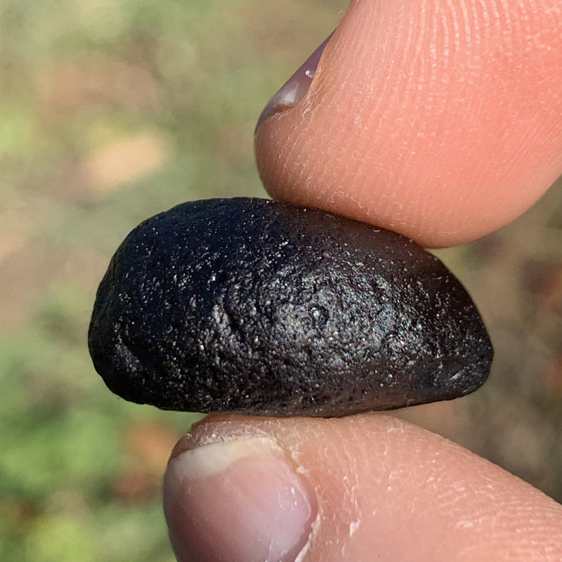 Australite Tektite 6.5 grams AU59-Moldavite Life