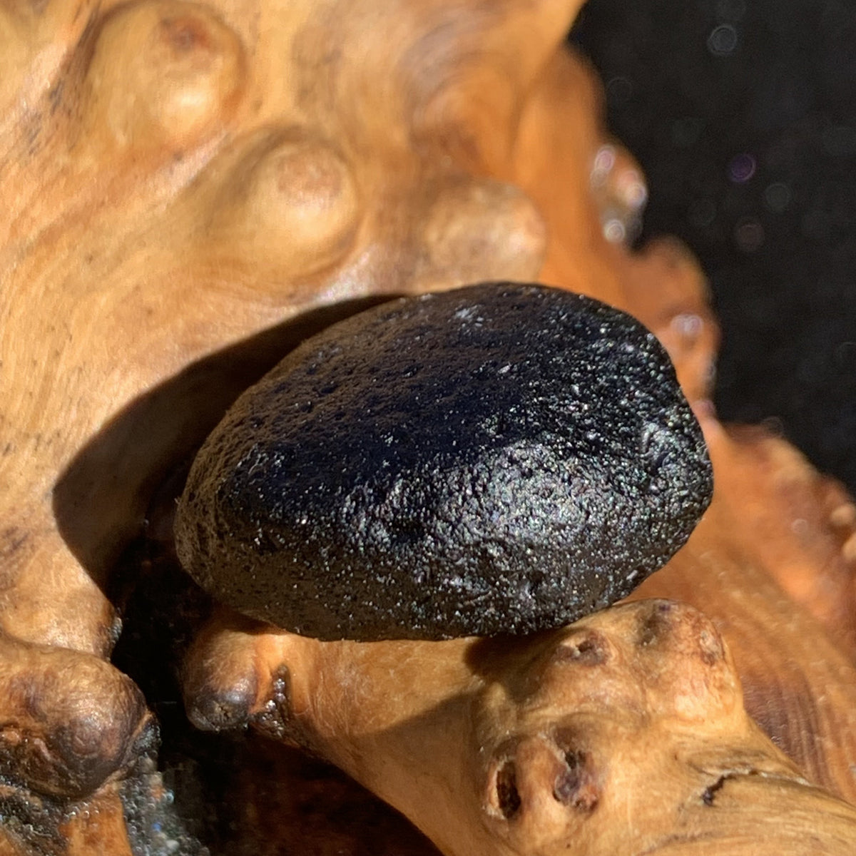 Australite Tektite 6.5 grams AU59-Moldavite Life
