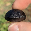 Australite Tektite 6.7 grams AU68-Moldavite Life