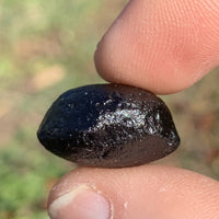 Australite Tektite 6.7 grams AU68-Moldavite Life