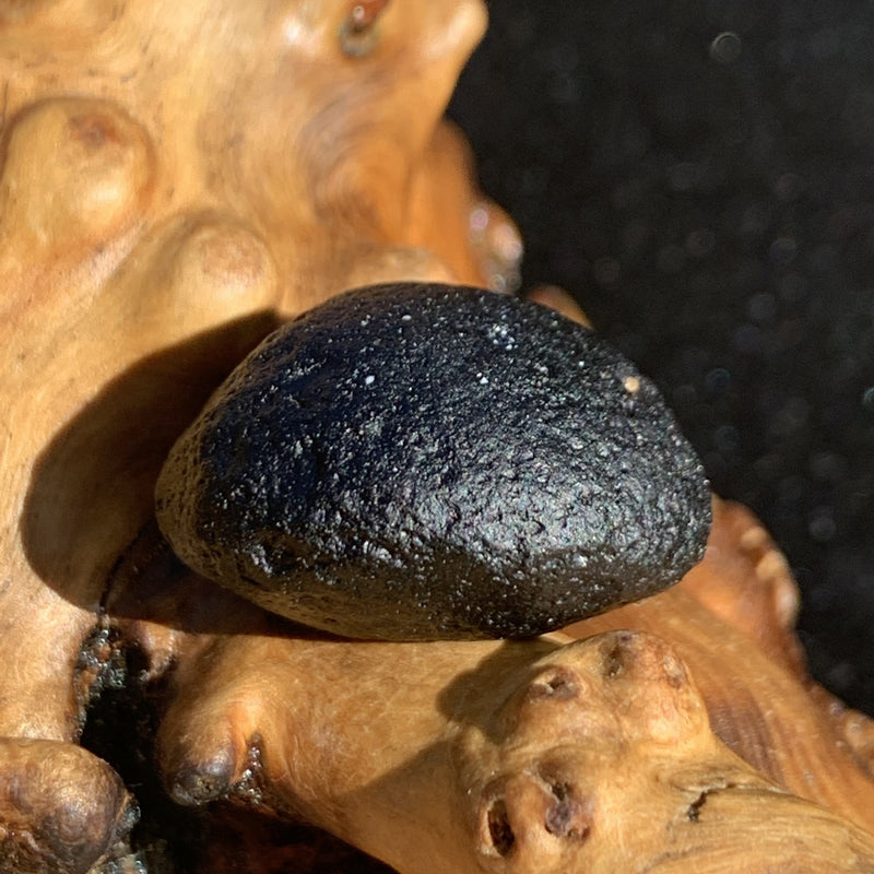 Australite Tektite 7.4 grams AU62-Moldavite Life