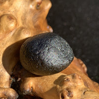 Australite Tektite 7.7 grams AU51-Moldavite Life