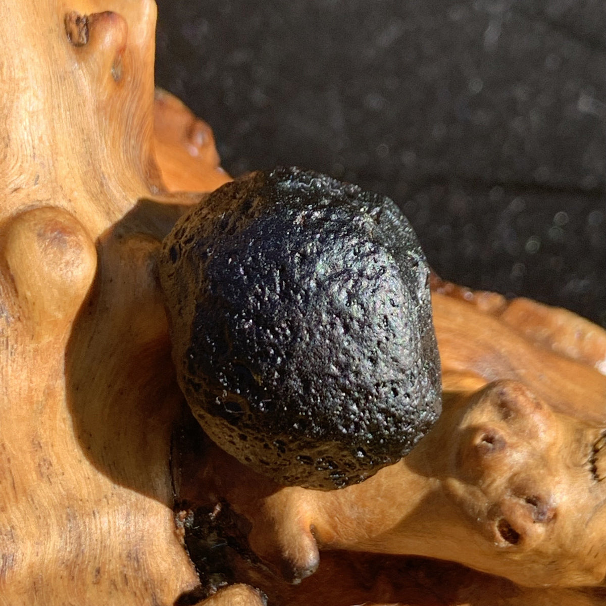 Australite Tektite 8.5 grams AU65-Moldavite Life